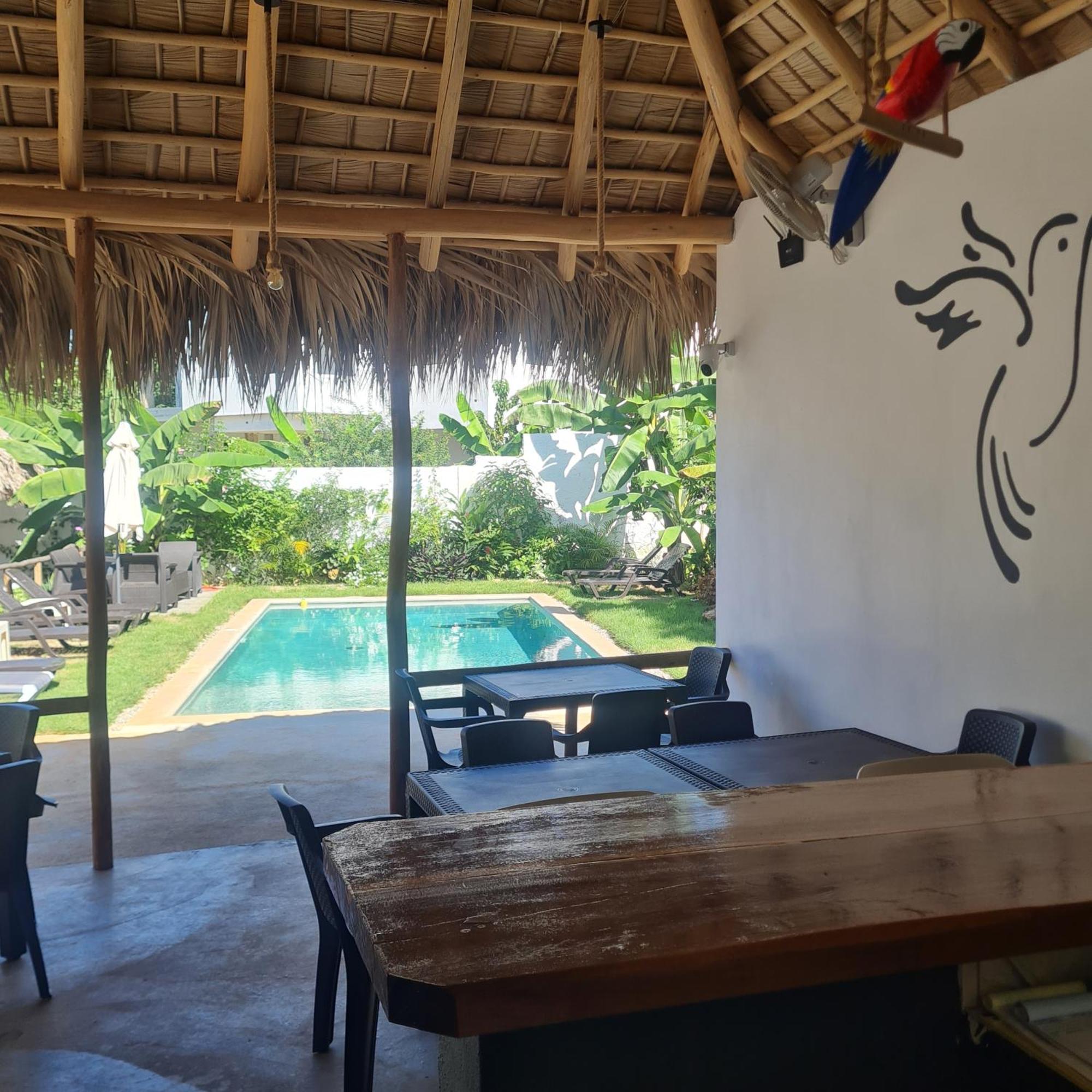 Bungalows Colibri Las Galeras Luaran gambar