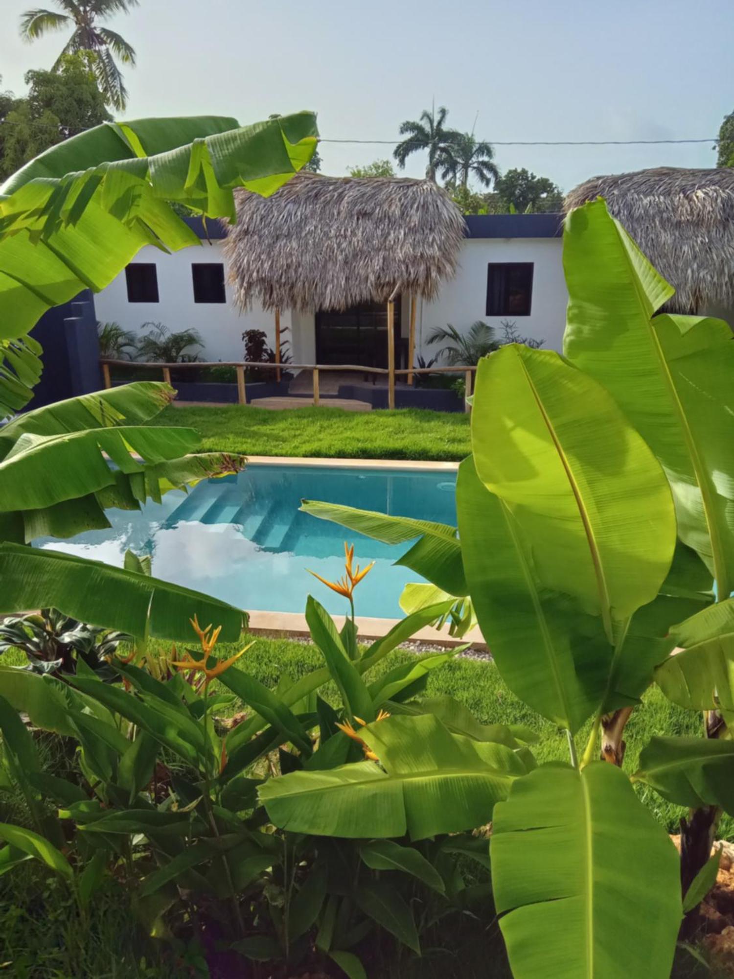 Bungalows Colibri Las Galeras Luaran gambar