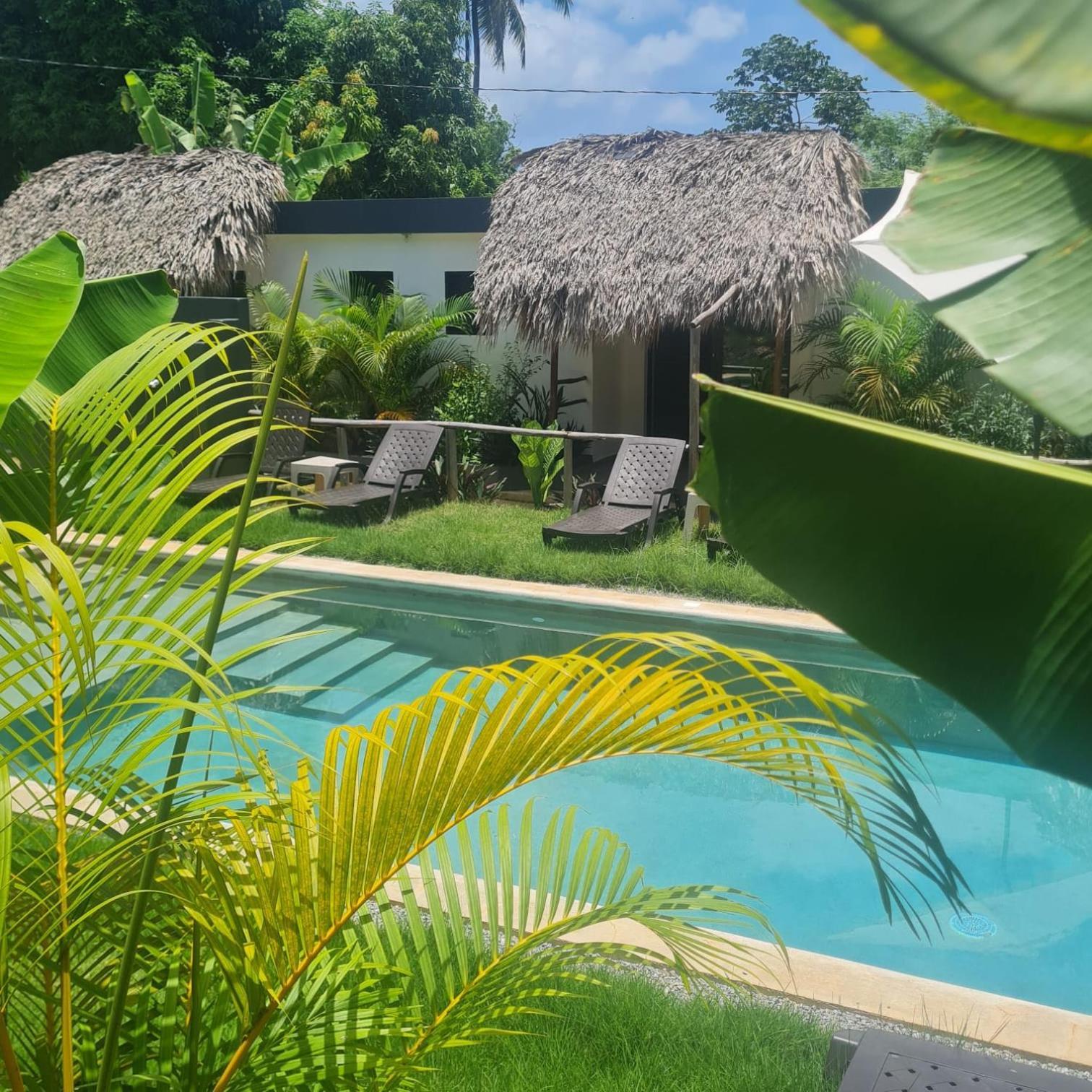 Bungalows Colibri Las Galeras Luaran gambar
